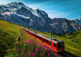 Fantastic cogwheel railway with electric red tourist train. Snowy Jungfrau mountains with glaciers, flowery fields and red passenger train, Kleine Scheidegg, Grindelwald, Bernese Oberland, Switzerland, Europe