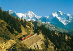 suisse_region_oberland_bernois_schynigge_platte_25758-84939-V0-P0